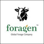 Foragen